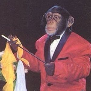 Meet your Posher, Derek